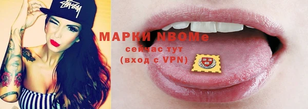 шишки Михайловск
