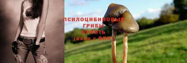 mix Дмитров