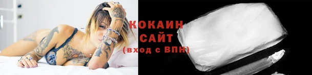 мдпв Гусь-Хрустальный