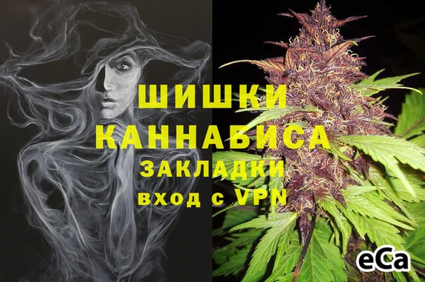 мдпв Гусь-Хрустальный